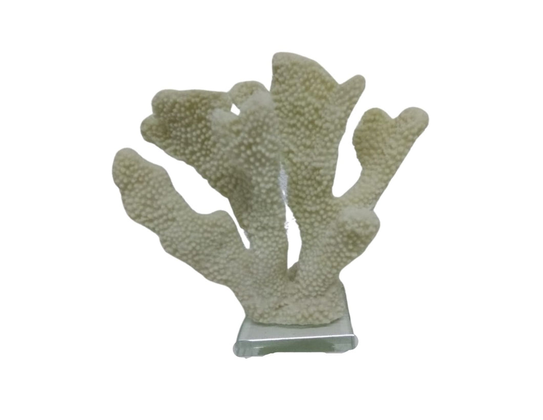 CORAL NATURAL