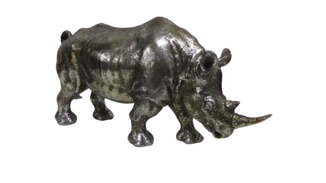 FIGURA RINO